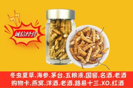 沈阳市浑南回收散虫草