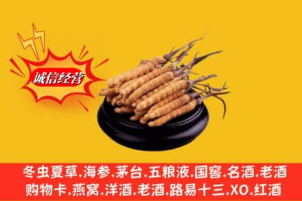 沈阳市浑南名酒回收冬虫夏草.jpg